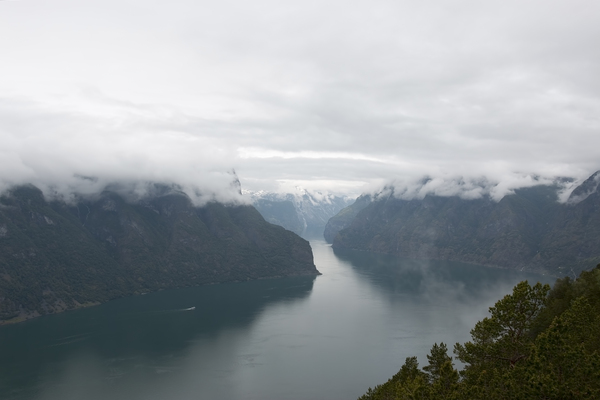 Gloomy fjord