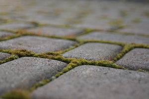 square pavement: no description