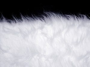 Fur: Fur texture