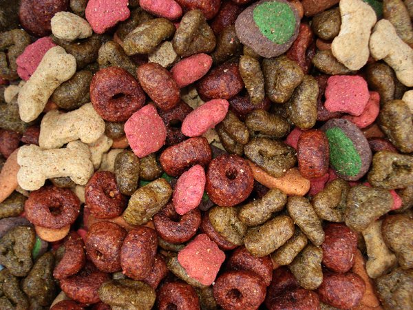 Dry Dog Food 3: Colorful dry dog food