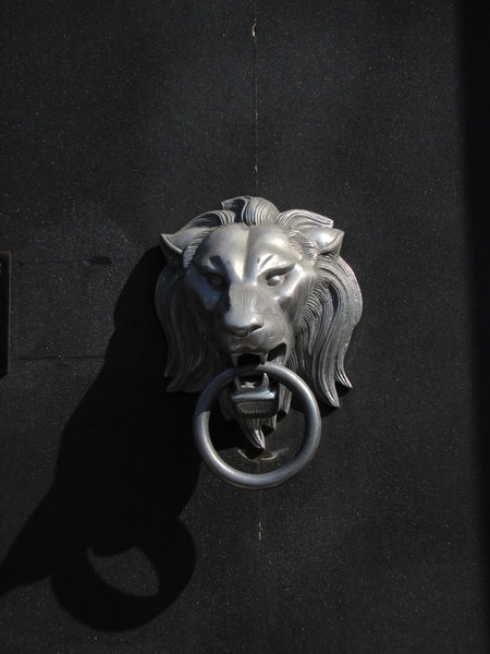 lion: door decoration