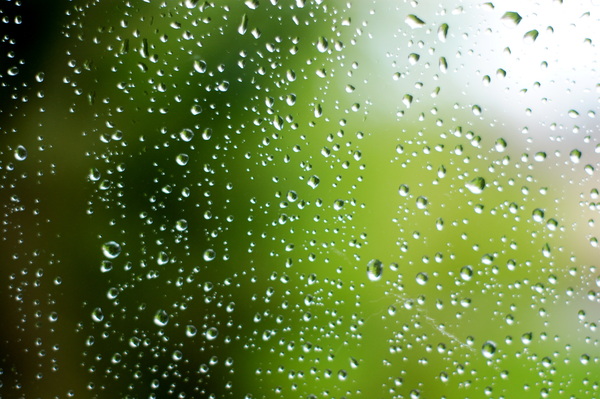 raindrops: Raindrops on a window pane.