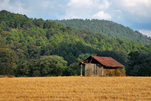 Old wooden shack: Old wooden shack in a field, green hill in the background