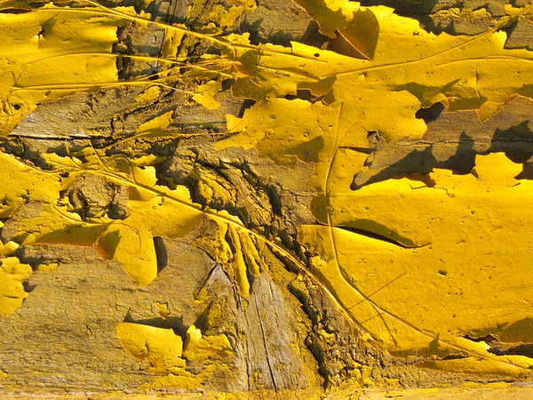 Yellow wooden texture: Old painted wood texture.