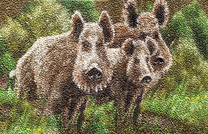 painted wild boar 2: painted wild boar