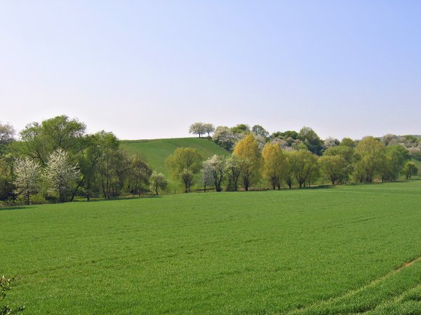 spring landscape in the hills : 