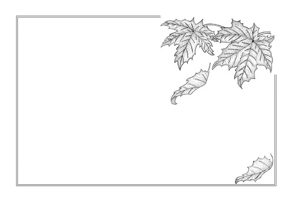 autumn maple leaves frame: This is one of my ink drawings
--Christa