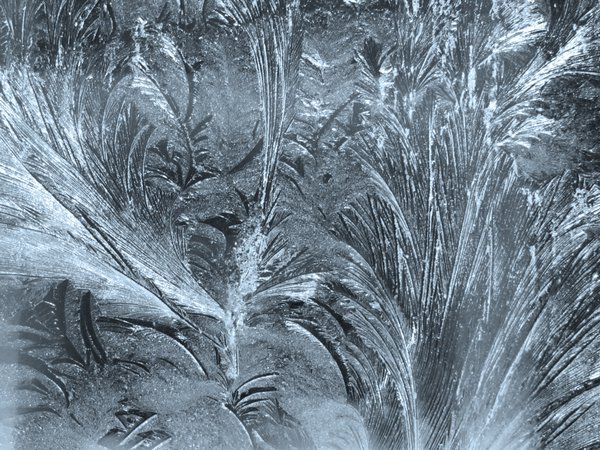 frost pattern 2: frost pattern 2