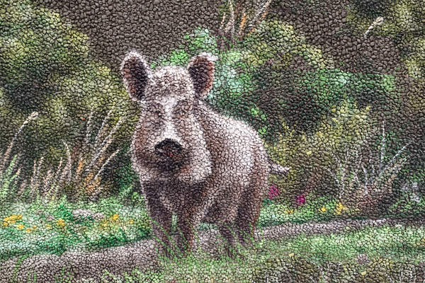 painted wild boar: painted wild boar