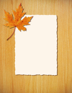 Fall Flyer 1: Variations on a fall flyer template.Please support my workby visiting the sites wheremy images can be purchased.Please search for 'Billy Alexander'in single quotes atwww.thinkstockphotos.comI also have some stuff atdreamstime - Billyruth03Look for me on F
