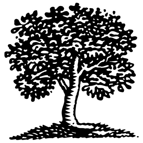 Tree Art 1: Hand drawn tree graphic.Please visit my stockxpert gallery:http://www.stockxpert.com ..