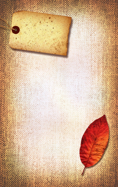 Canvas Collage 3: Variations on a canvas collage.See also Image ID: 1247514Please support my workby visiting the sites wheremy images can be purchased.Please search for 'Billy Alexander'in single quotes atwww.thinkstockphotos.comI also have some stuff atwww.dreamstime.com/