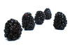 Blackberries.: 
