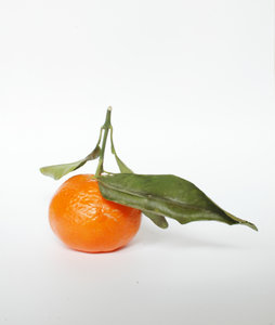 Mandarin: A teastfull mandarin ...  enjoy it!