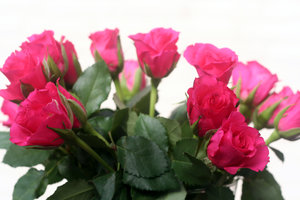 Vase mit Rosen: 