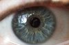 Human Eye: Close up of human eye