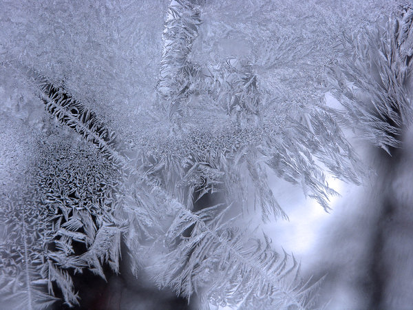 Frosty Window: It  is so cool to see how the ice frost creates patterns like fingers on a window,.