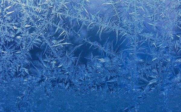 Frosty Glass: Early morning frost