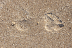 footprint in the sand: foot print in the sand at the beach