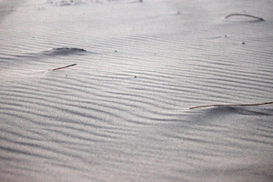 sand: Sand ripples