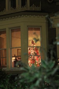 Outside at Christmas: View of a lit room (with Christmas tree) from outside