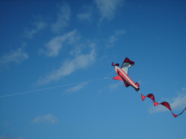 Plane Kite 1: A kite in the shape of a plane