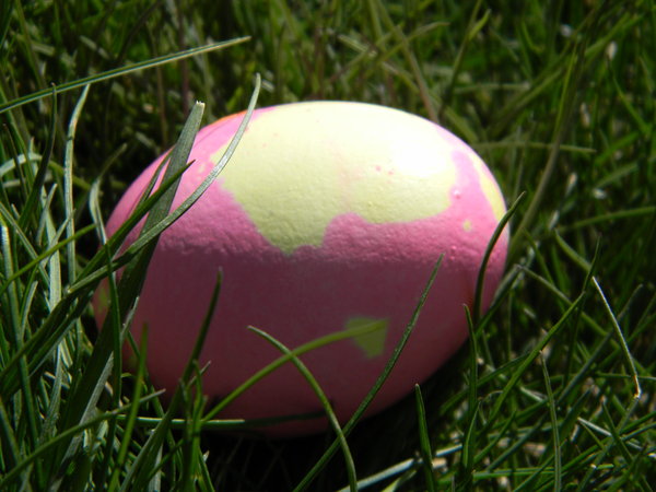 Easter Eggs: Our Easter eggs in the grass.