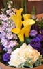 flower arrangement: flower arrangement