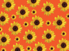 Sunflowers background 4: Sunflowers background 4