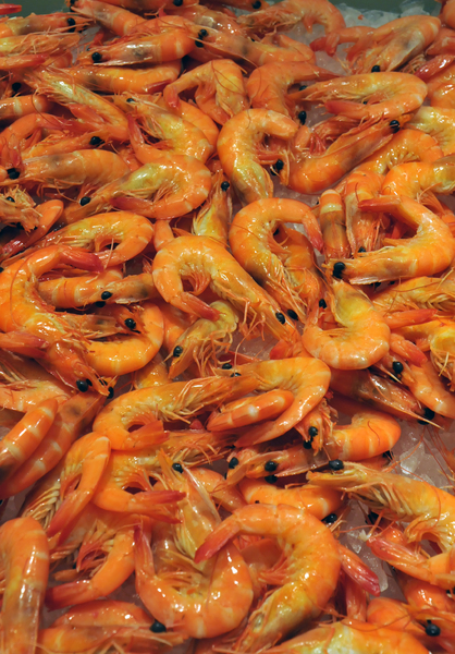 shrimp: shrimp dinner