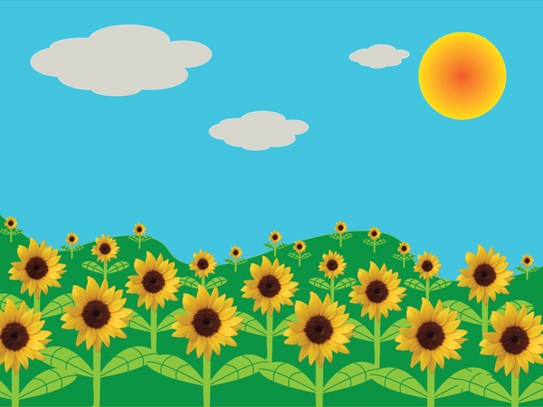 SunFlower Scene | Free stock photos - Rgbstock - Free stock images |  coolhewitt23 | June - 03 - 2015 (6)