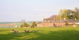 Cumbrian Farm: An English Farm shot in Spring Sunshine