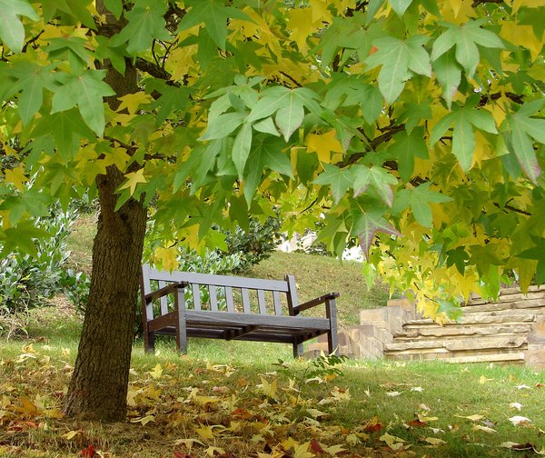 october bench: autumn