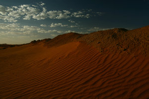 El secreto del Sahara: 