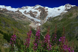 Mountain's landscape: Monte Rosa landscape