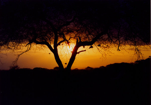 africa sunset 2: Sunset on Amboseli National Park