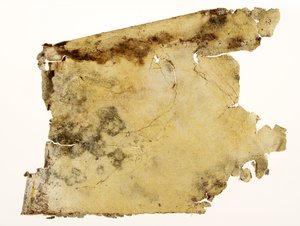 Grungy Canvas Texture: A moldy old piece of artist canvas that looks similar to a piece of a pirate map..