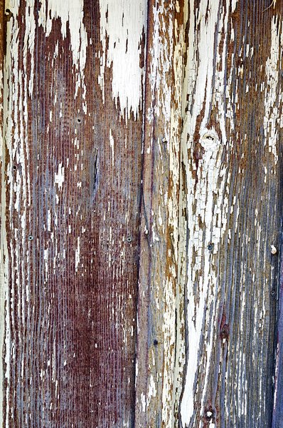Weathered wood: Weathered wood on the side of a very old building.