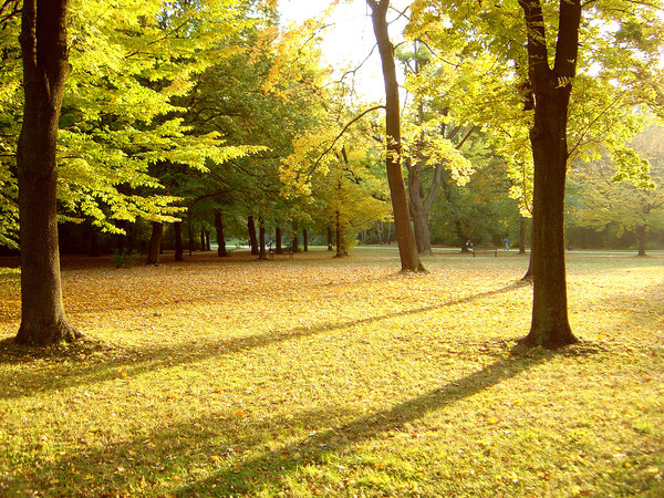 Herbst-Park: 