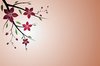 Floral Sprig: Floral sprig on a red background