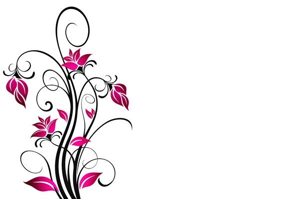 Yet Another Floral 8: Colorful floral elements on a white or black background. Which do you like most? ;)