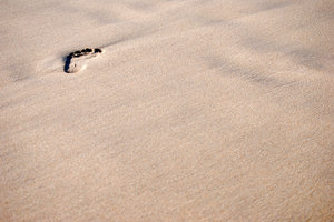 footprint L: 