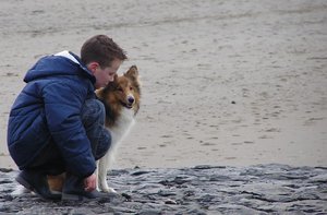 Boy with dog at the beach (2): 