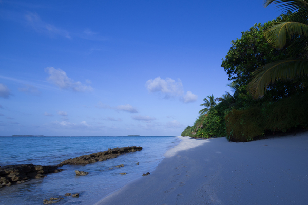 Tropical Beach 2: Beaches in the Maldives