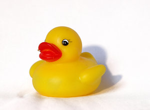 Duckie: Rubber Bath Duck