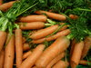 Carrots: carrots in a market stall