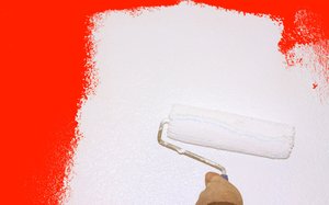 Paint: Painting a wall, renovating the house