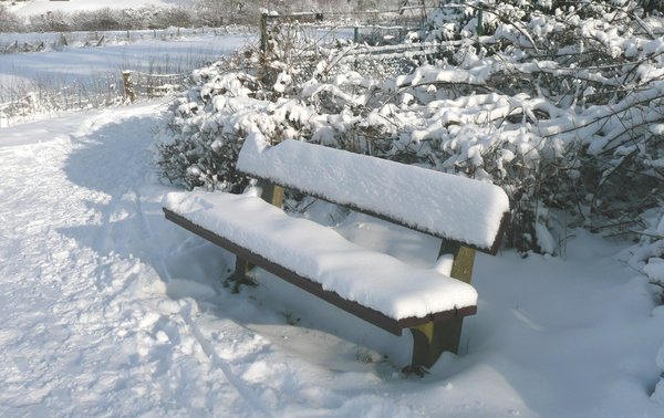 Snow covered bench: Snow covered bench beside a walk