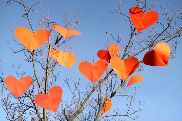corazones en un árbol: 