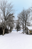 Snowy Drive: A snowy winter landscape with icy trees leading down a driveway.